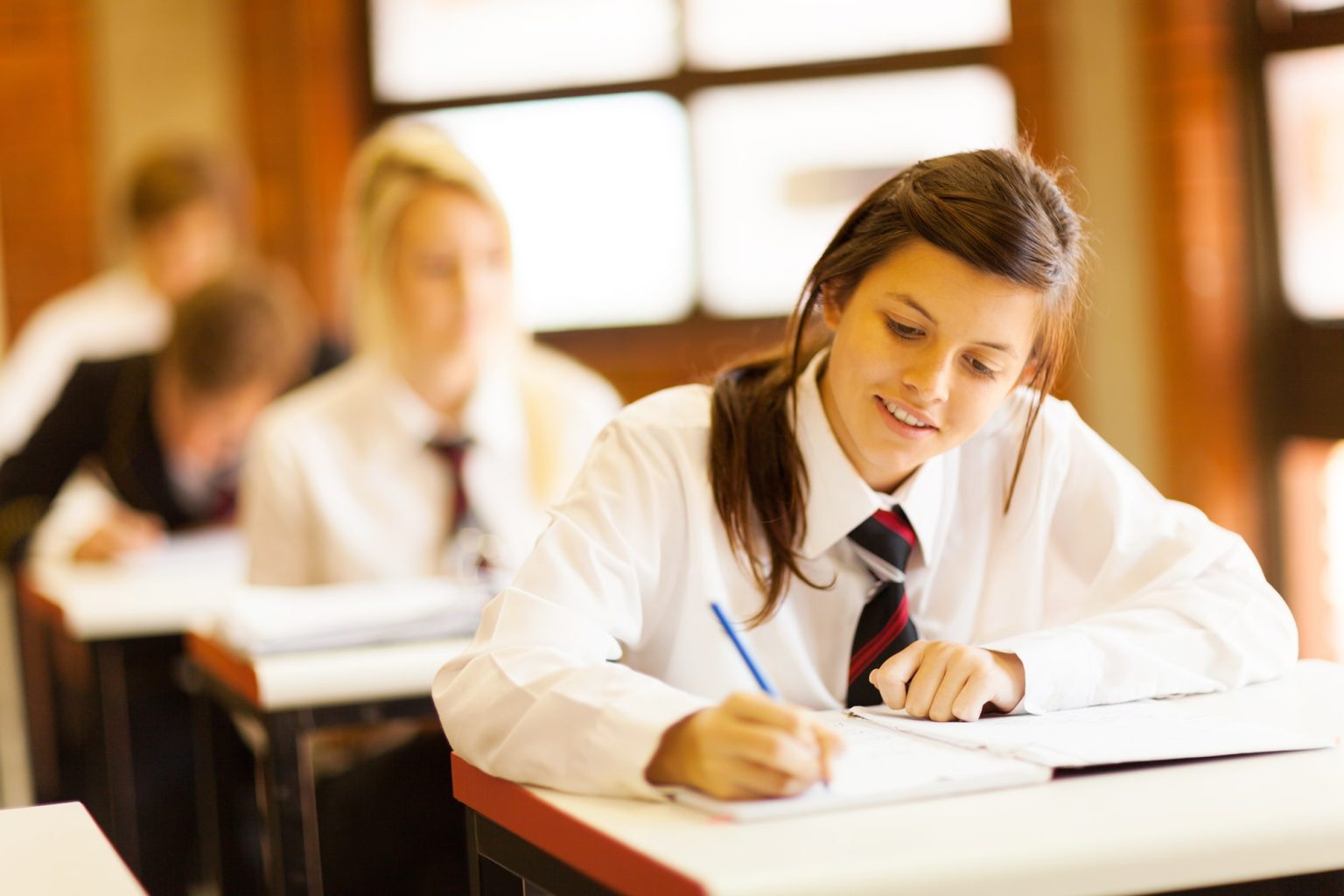 IB Theory of Knowledge: What It Is, Course Description, and Claims
